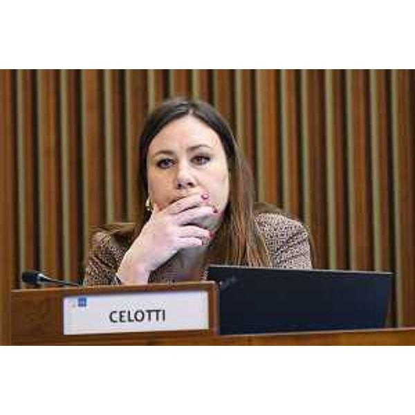 Manuela Celotti (Pd) - Manuela Celotti (Pd)