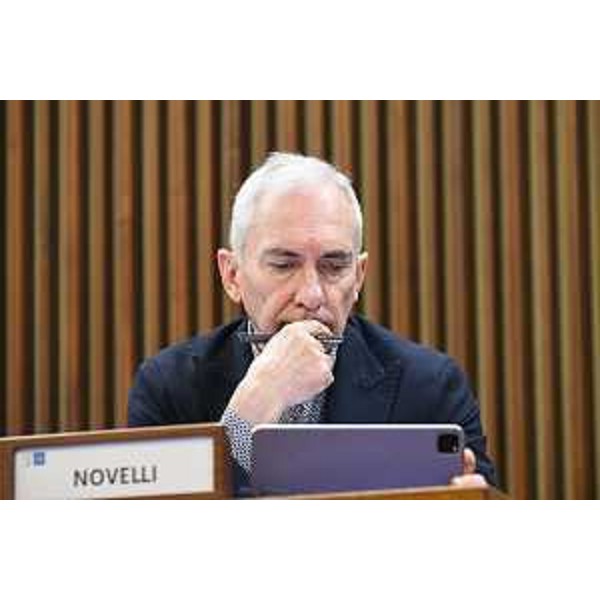 Roberto Novelli (Forza Italia) - Roberto Novelli (Forza Italia)