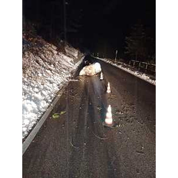 Il masso caduto sulla carreggiata - Il masso caduto sulla carreggiata