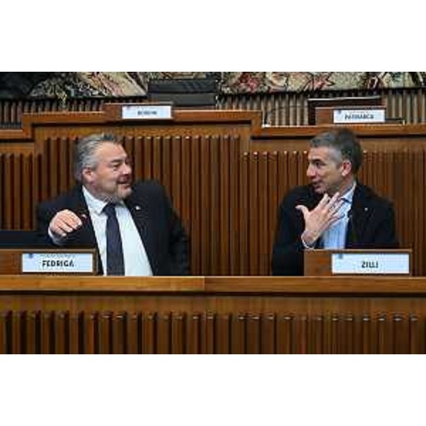 Il presidente della V Commissione, Diego Bernardis (Fp), e l'assessore regionale Pierpaolo Roberti - Il presidente della V Commissione, Diego Bernardis (Fp), e l'assessore regionale Pierpaolo Roberti