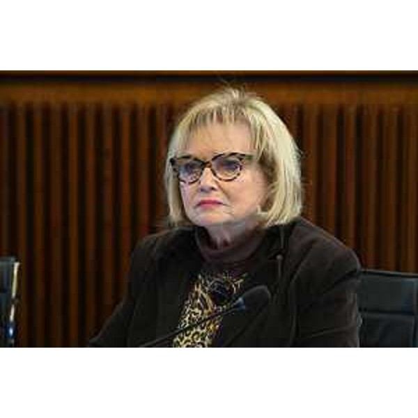 Laura Fasiolo (Pd) - Laura Fasiolo (Pd)