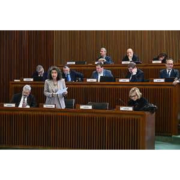 Serena Pellegrino (Avs) durante il suo intervento - Serena Pellegrino (Avs) durante il suo intervento