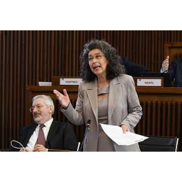 La relazione in aula di Serena Pellegrino (Avs) - La relazione in aula di Serena Pellegrino (Avs)