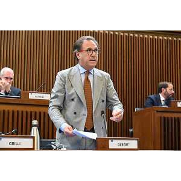 Mauro Di Bert (Fp) - Mauro Di Bert (Fp)