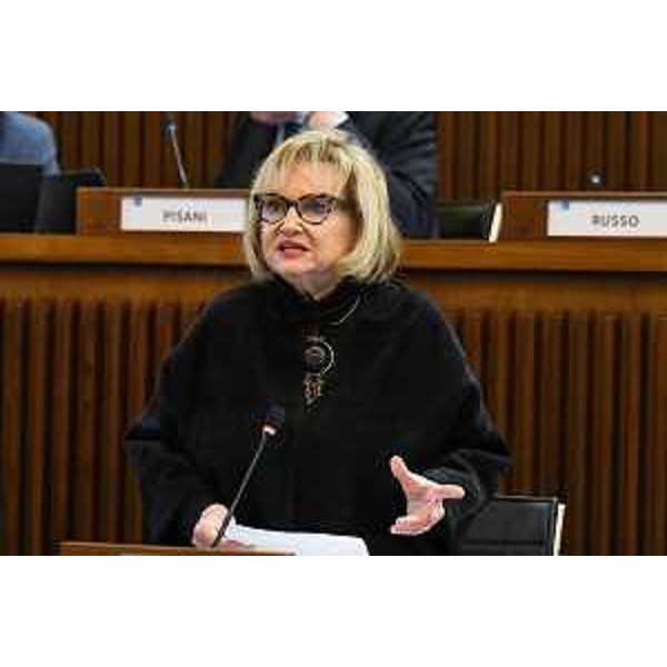 Laura Fasiolo (Pd) - Laura Fasiolo (Pd)