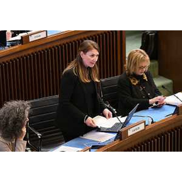 Rosaria Capozzi (M5S) - Rosaria Capozzi (M5S)