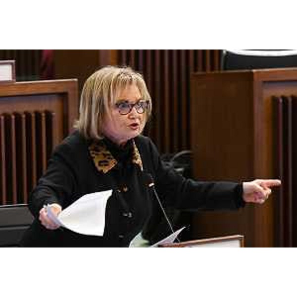 Laura Fasiolo (Pd) - Laura Fasiolo (Pd)