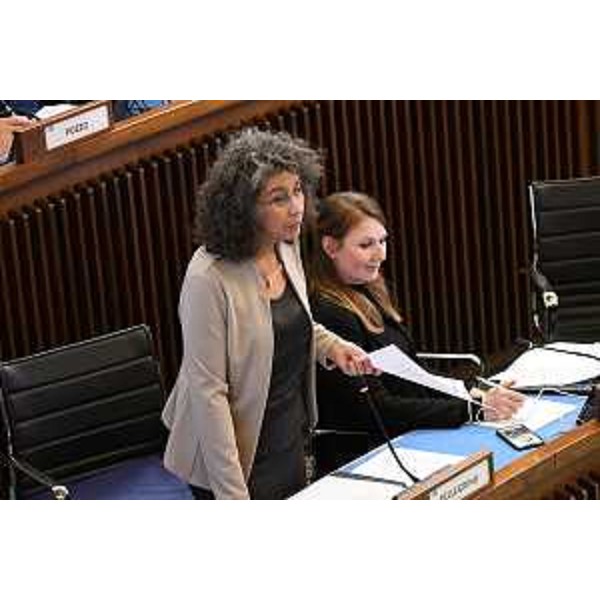 Da sinistra Serena Pellegrino (Avs) e Rosaria Capozzi (M5S) - Da sinistra Serena Pellegrino (Avs) e Rosaria Capozzi (M5S)