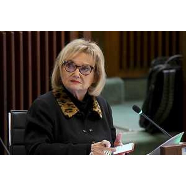 Laura Fasiolo (Pd) - Laura Fasiolo (Pd)