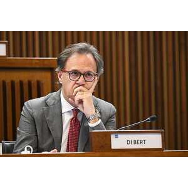 Mauro Di Bert (Fp) - Mauro Di Bert (Fp)