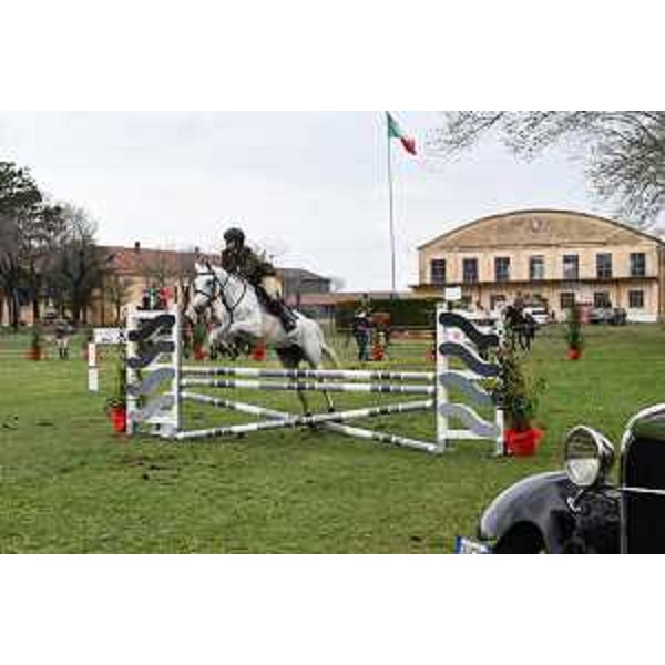 Un momento della manifestazione ippica. - Un momento della manifestazione ippica.