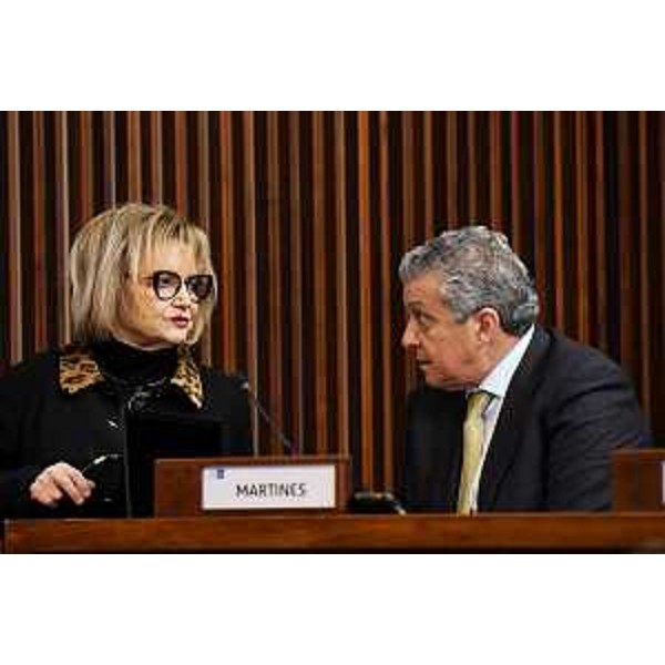 I consiglieri del Pd, Laura Fasiolo e Francesco Martines - I consiglieri del Pd, Laura Fasiolo e Francesco Martines