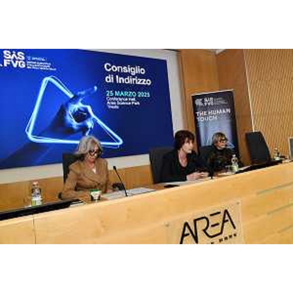 L'assessore Rosolen nel corso del suo intervento - L'assessore Rosolen nel corso del suo intervento