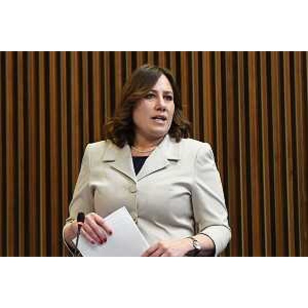 Manuela Celotti (Pd) - Manuela Celotti (Pd)