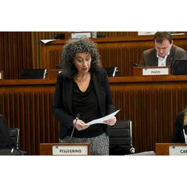 Serena Pellegrino (Avs) - Serena Pellegrino (Avs)