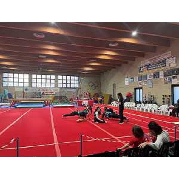 L'impianto della società 'Artistica '81 - L'impianto della società 'Artistica '81