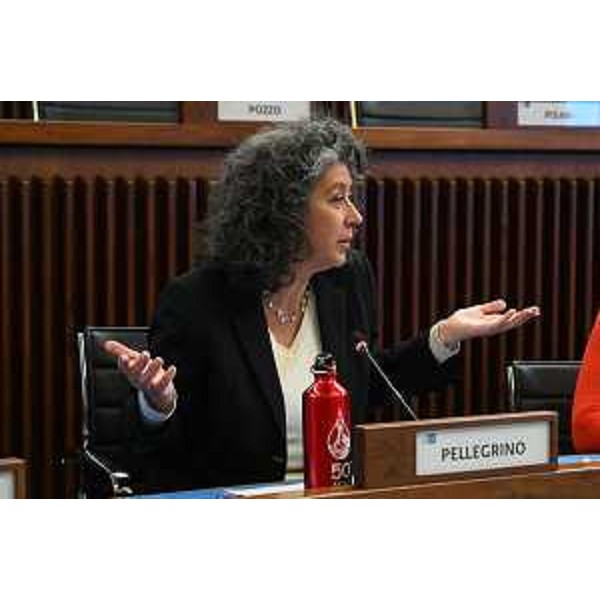 Serena Pellegrino (Avs) - Serena Pellegrino (Avs)