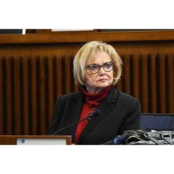 Laura Fasiolo (Pd) - Laura Fasiolo (Pd)