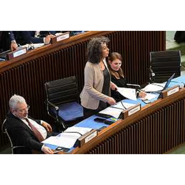 Gli esponenti del Gruppo Misto - Gli esponenti del Gruppo Misto