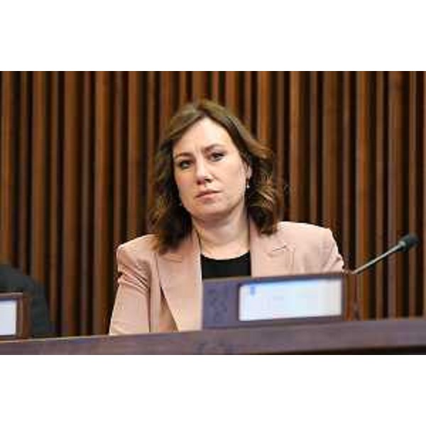 Manuela Celotti (Partito democratico) - Manuela Celotti (Partito democratico)