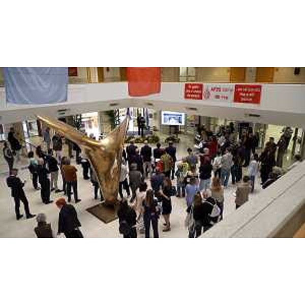 La cerimonia di inaugurazione - La cerimonia di inaugurazione