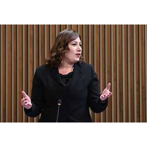 Manuela Celotti (Pd) - Manuela Celotti (Pd)