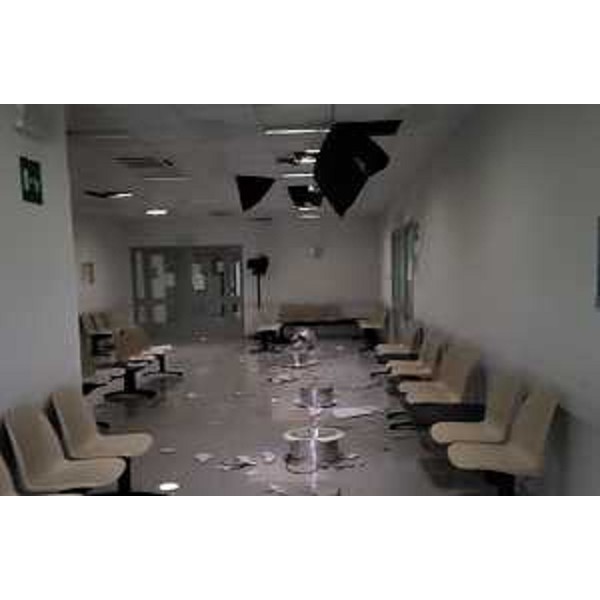 Gli effetti devastanti della grandinata del luglio 2023. - Gli effetti devastanti della grandinata del luglio 2023.