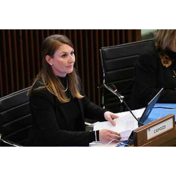 Rosaria Capozzi (M5S) - Rosaria Capozzi (M5S)