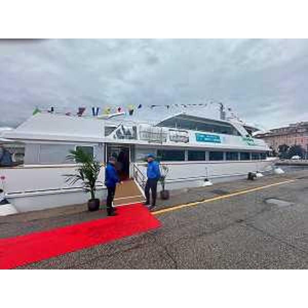 Il Delfino Verde Gt - Il Delfino Verde Gt