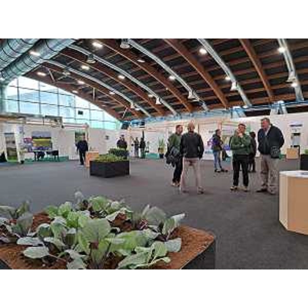 18 enti in esposizione - 18 enti in esposizione