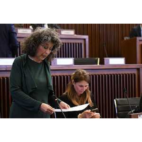 Serena Pellegrino (Avs) - Serena Pellegrino (Avs)