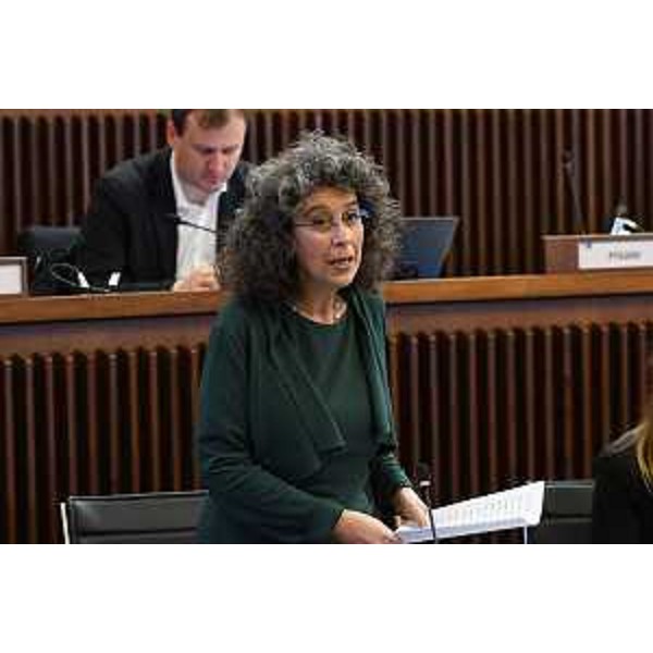 Serena Pellegrino (Avs) - Serena Pellegrino (Avs)