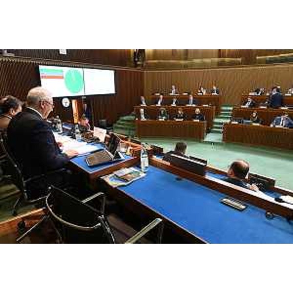 Un momento dei lavori dell'Aula, sotto la presidenza di Mauro Bordin - Un momento dei lavori dell'Aula, sotto la presidenza di Mauro Bordin