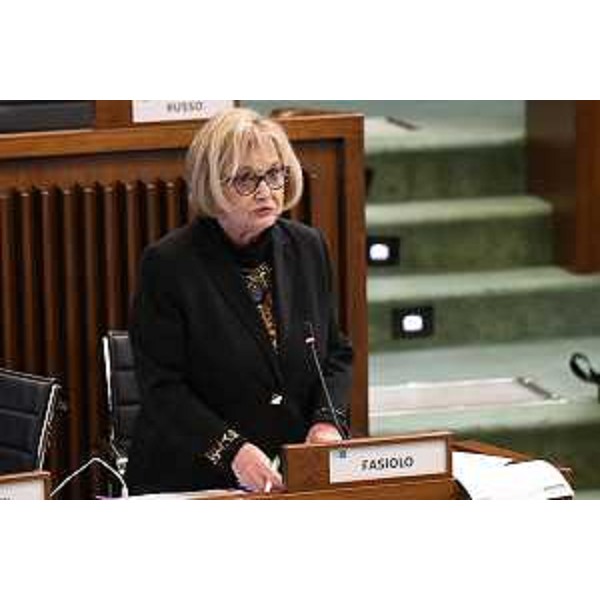 Laura Fasiolo (Pd) - Laura Fasiolo (Pd)