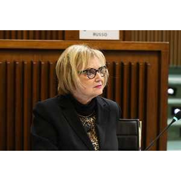 Laura Fasiolo (Pd) - Laura Fasiolo (Pd)