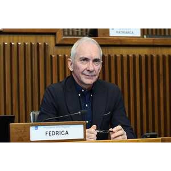 Roberto Novelli (Fi), presidente VI Commissione - Roberto Novelli (Fi), presidente VI Commissione