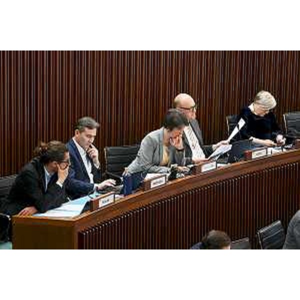 Il Gruppo Patto per l'Autonomia-Civica Fvg - Il Gruppo Patto per l'Autonomia-Civica Fvg