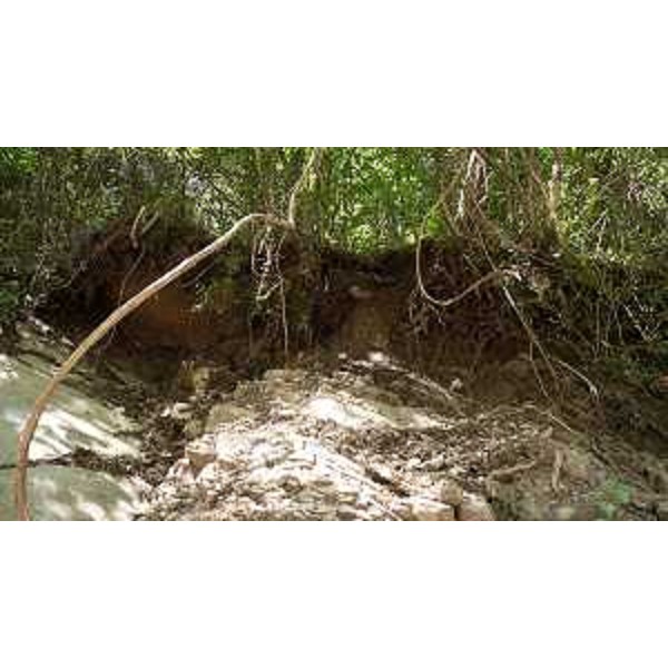 Una parte della frana di Pulfero - Una parte della frana di Pulfero