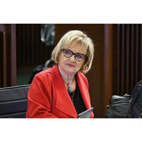 Laura Fasiolo (Pd) - Laura Fasiolo (Pd)