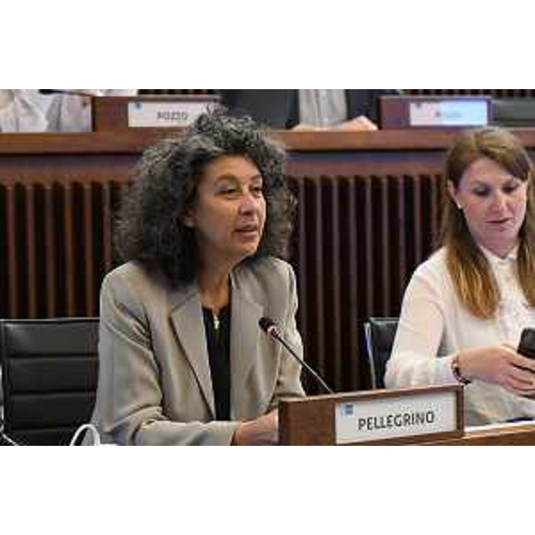 Da sinistra Serena Pellegrino (Avs) e Rosaria Capozzi (M5S) - Da sinistra Serena Pellegrino (Avs) e Rosaria Capozzi (M5S)