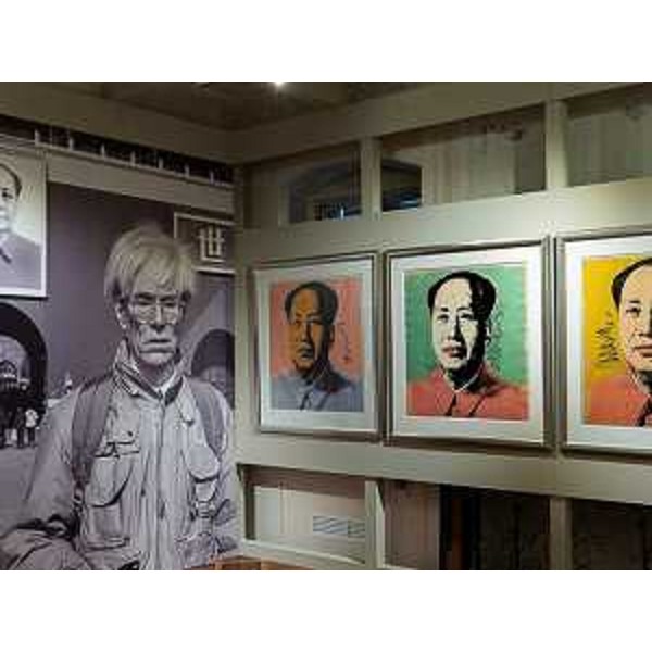 Una delle stanze della mostra svoltasi a Gorizia a Palazzo Attems Petzenstein - Una delle stanze della mostra svoltasi a Gorizia a Palazzo Attems Petzenstein