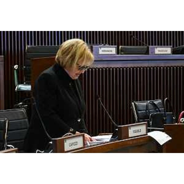 Laura Fasiolo (Pd) - Laura Fasiolo (Pd)