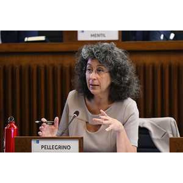 Serena Pellegrino (Avs) - Serena Pellegrino (Avs)