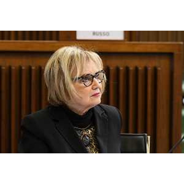 Laura Fasiolo (Pd) - Laura Fasiolo (Pd)