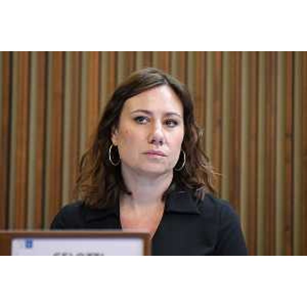 Manuela Celotti (Pd) - Manuela Celotti (Pd)