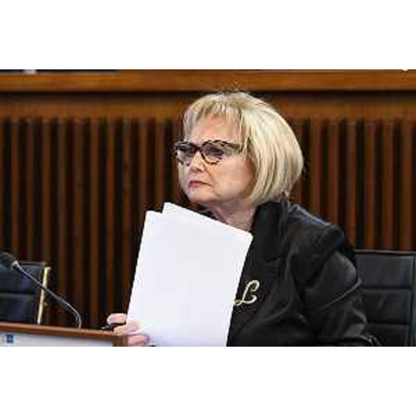 Laura Fasiolo (Pd) - Laura Fasiolo (Pd)