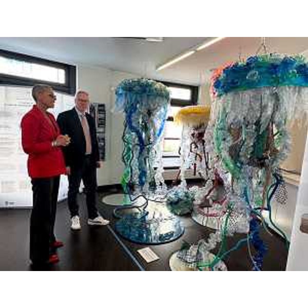 Il presidente del Consiglio regionale del Friuli Venezia Giulia, Mauro Bordin, alla presentazione delle opere di Elisabetta Milan - Il presidente del Consiglio regionale del Friuli Venezia Giulia, Mauro Bordin, alla presentazione delle opere di Elisabetta Milan