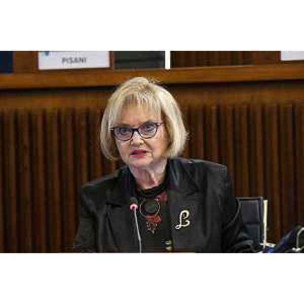 Laura Fasiolo (Pd) - Laura Fasiolo (Pd)