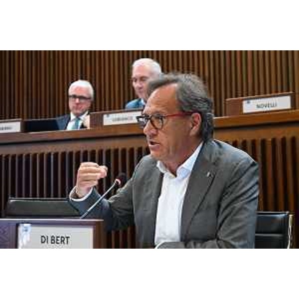 Mauro Di Bert (Fedriga presidente) - Mauro Di Bert (Fedriga presidente)