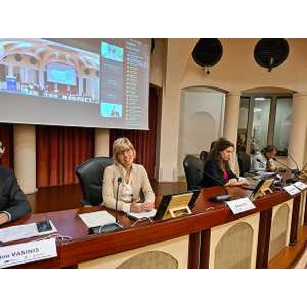 L'assessore regionale Barbara Zilli durante l'incontro del Comitato di sorveglianza sul Pr Fesr 2021-2027 e il partenariato economico sociale. - L'assessore regionale Barbara Zilli durante l'incontro del Comitato di sorveglianza sul Pr Fesr 2021-2027 e il partenariato economico sociale.